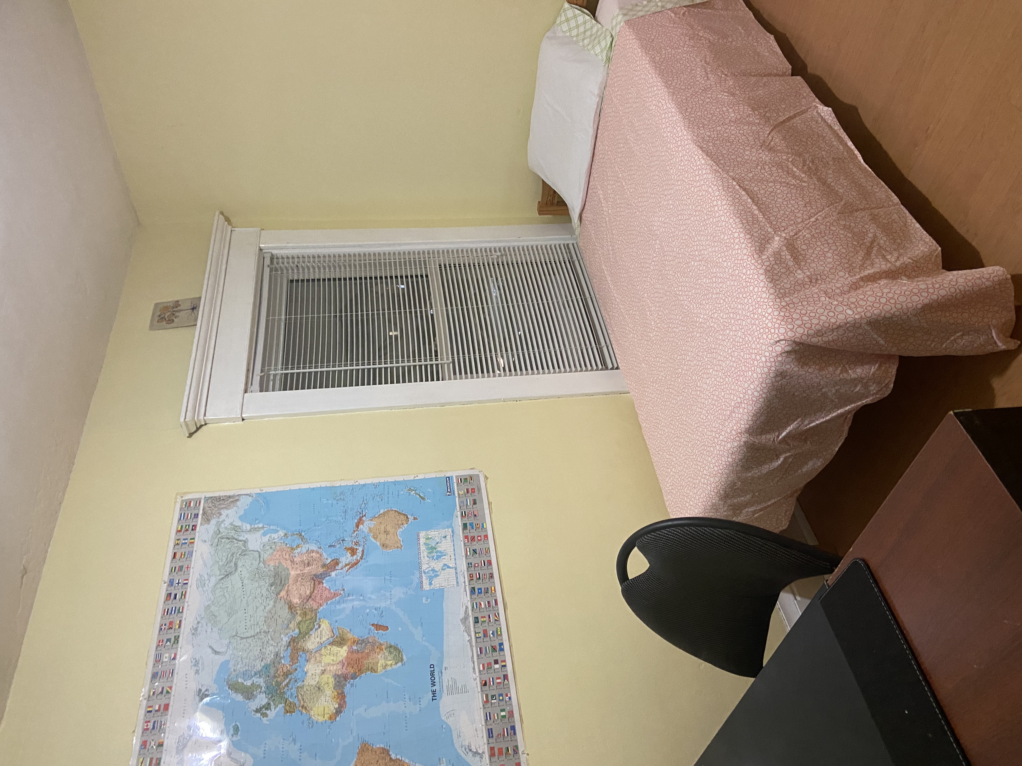 Picture 5