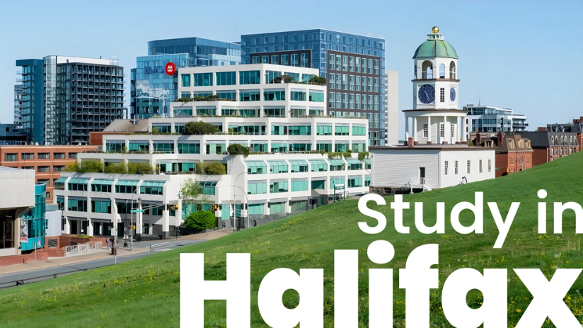 Study in Halifax