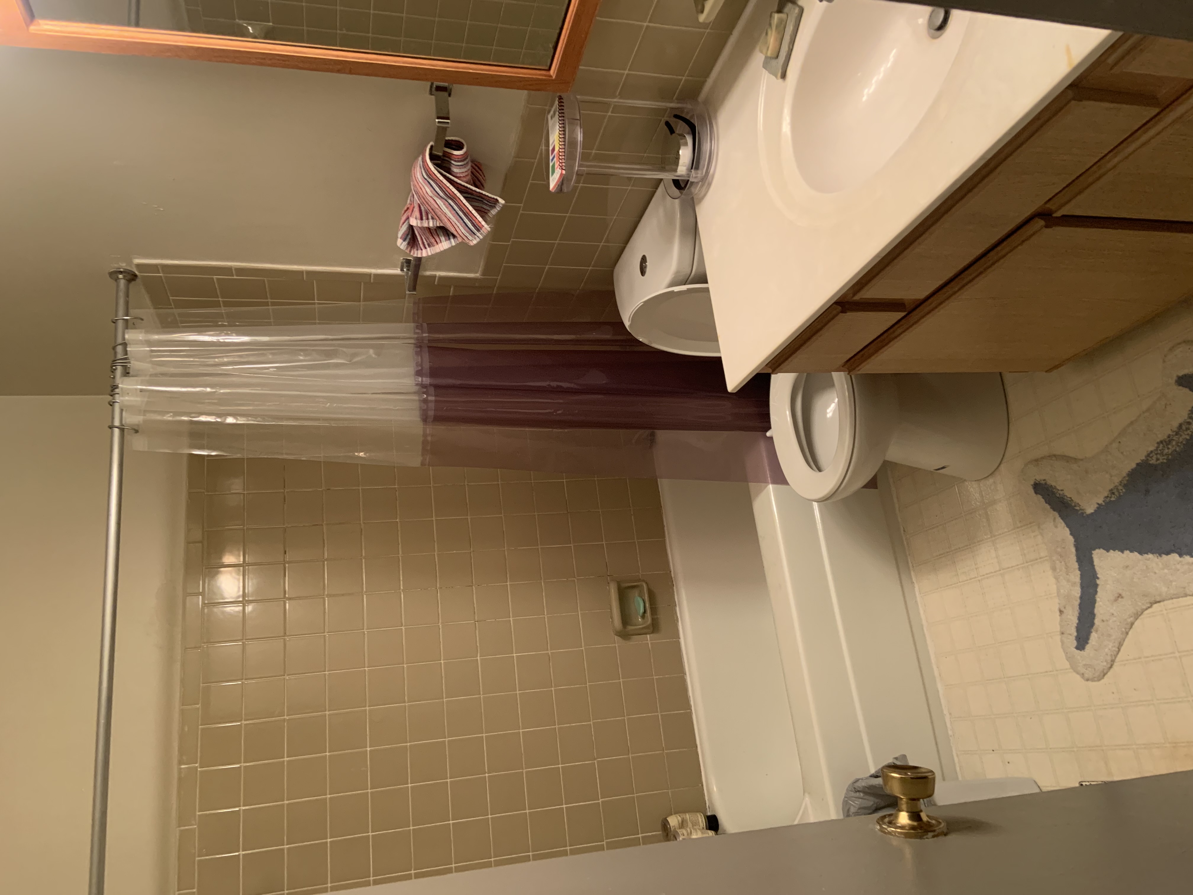 Picture 5