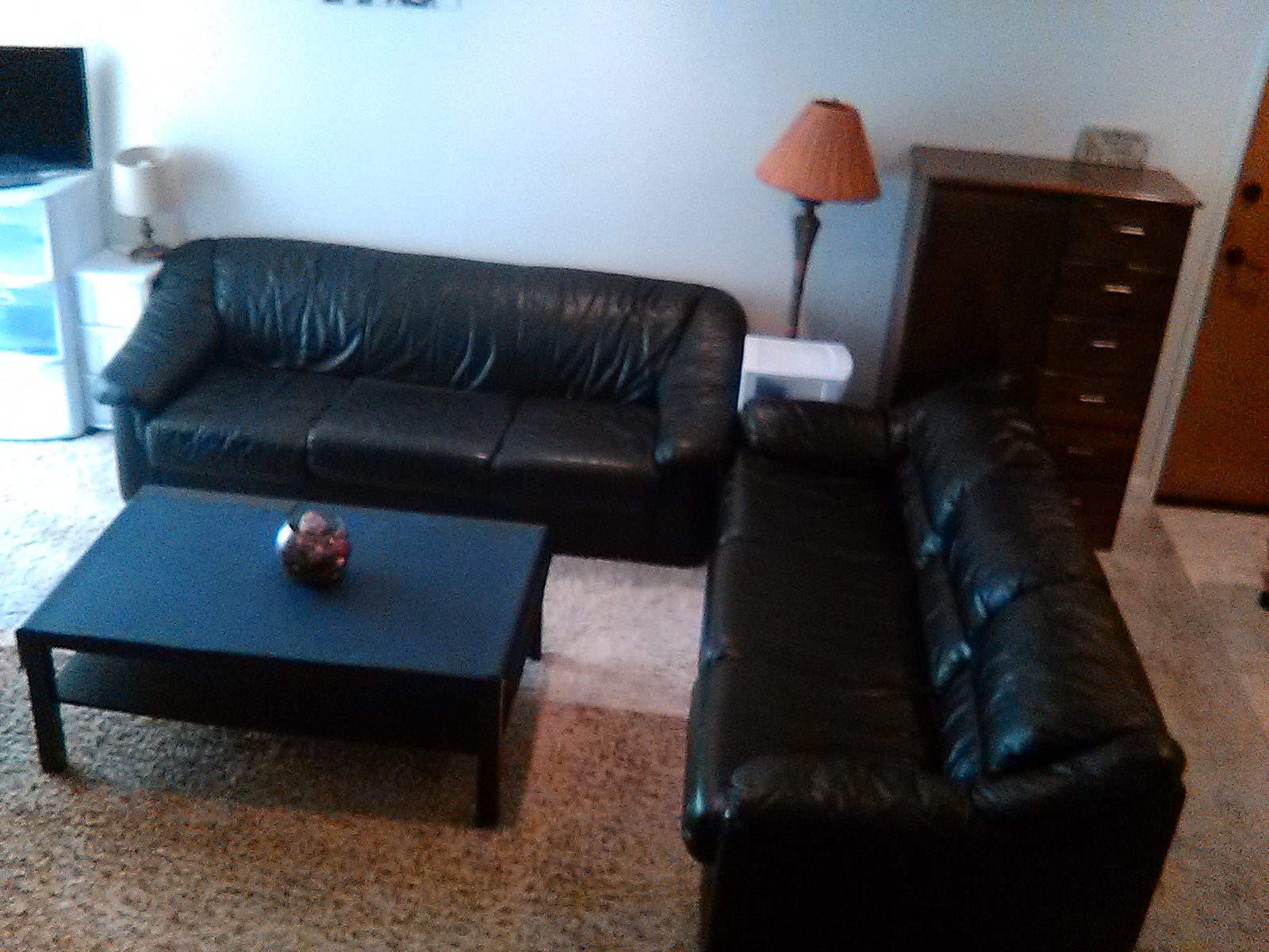 Picture 5