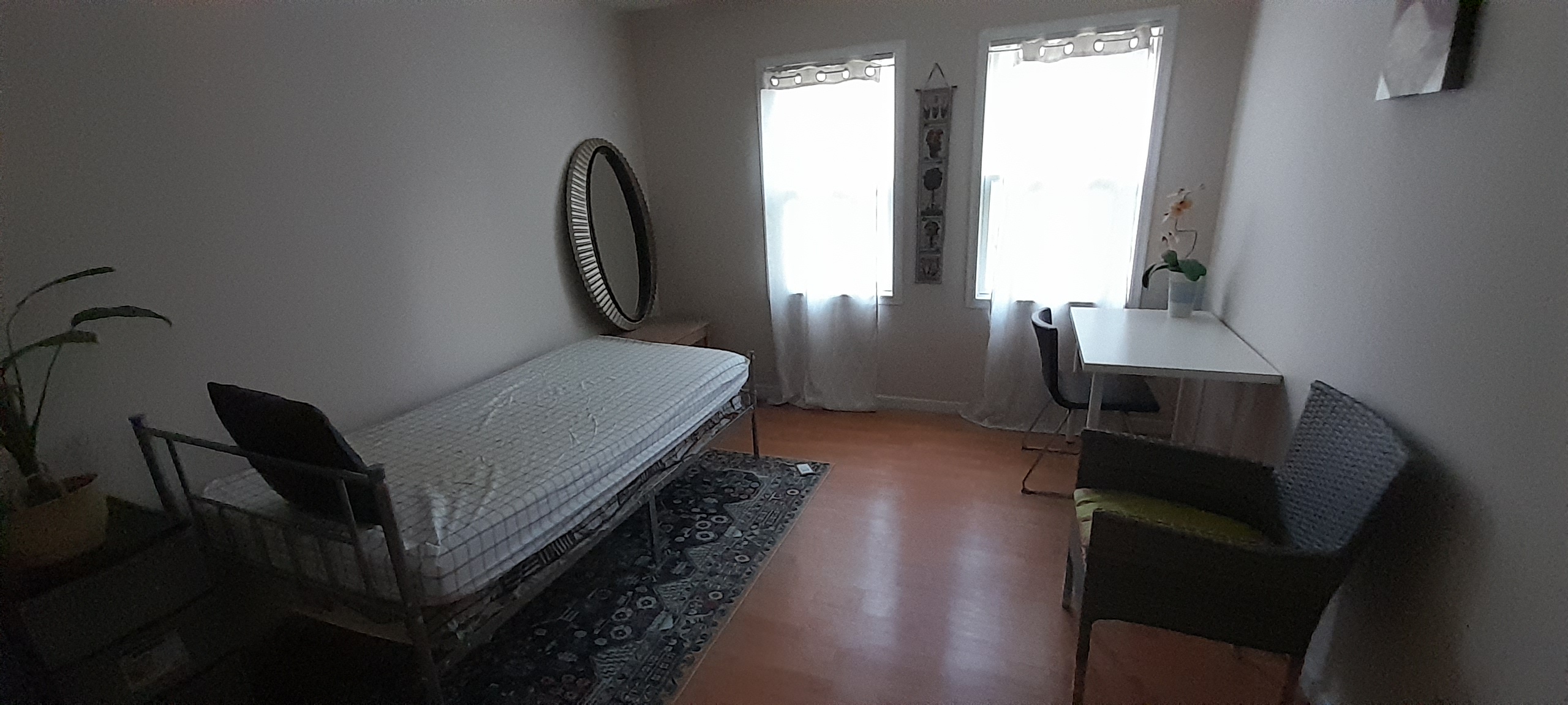 Picture 5