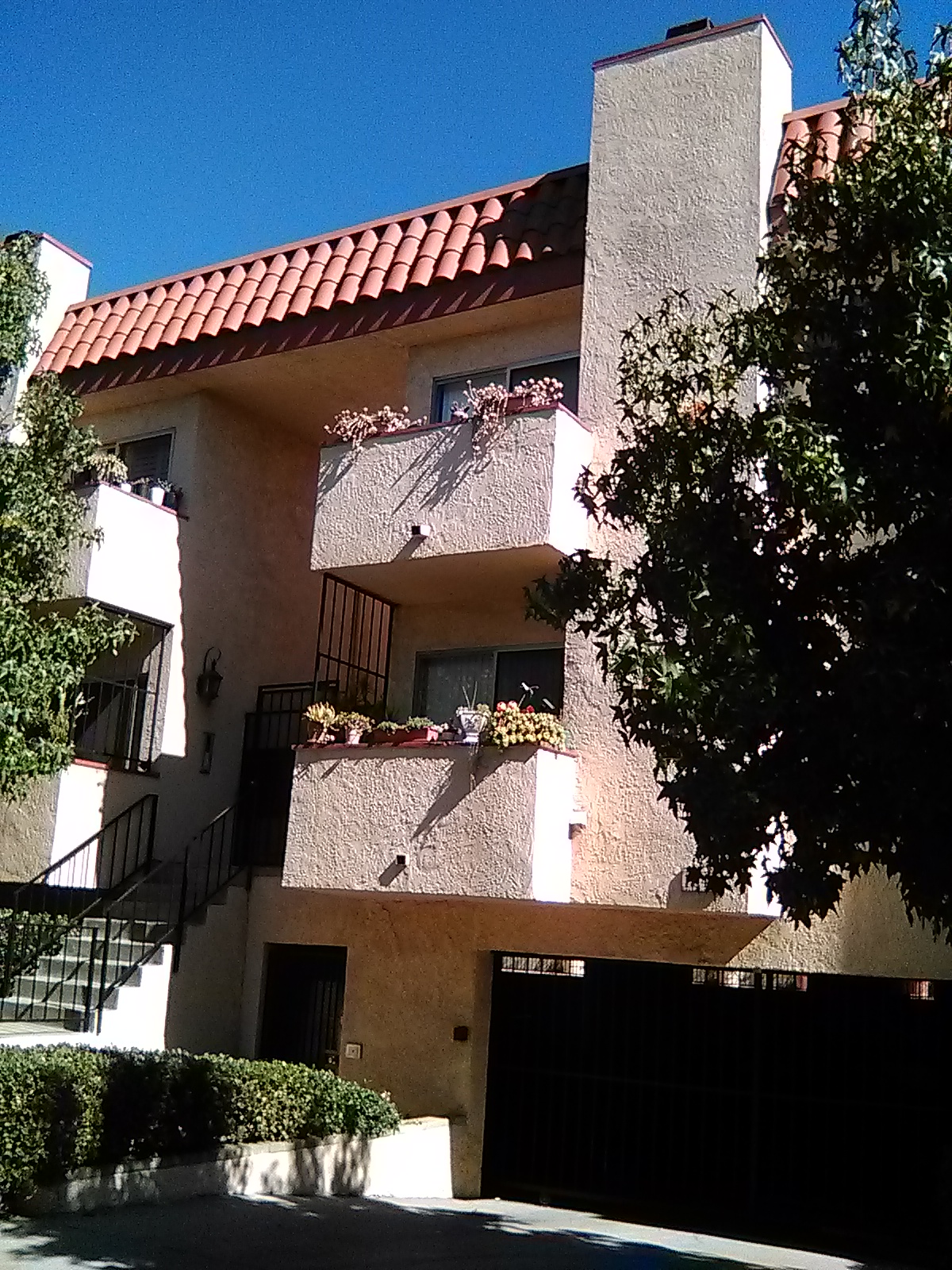Picture 3