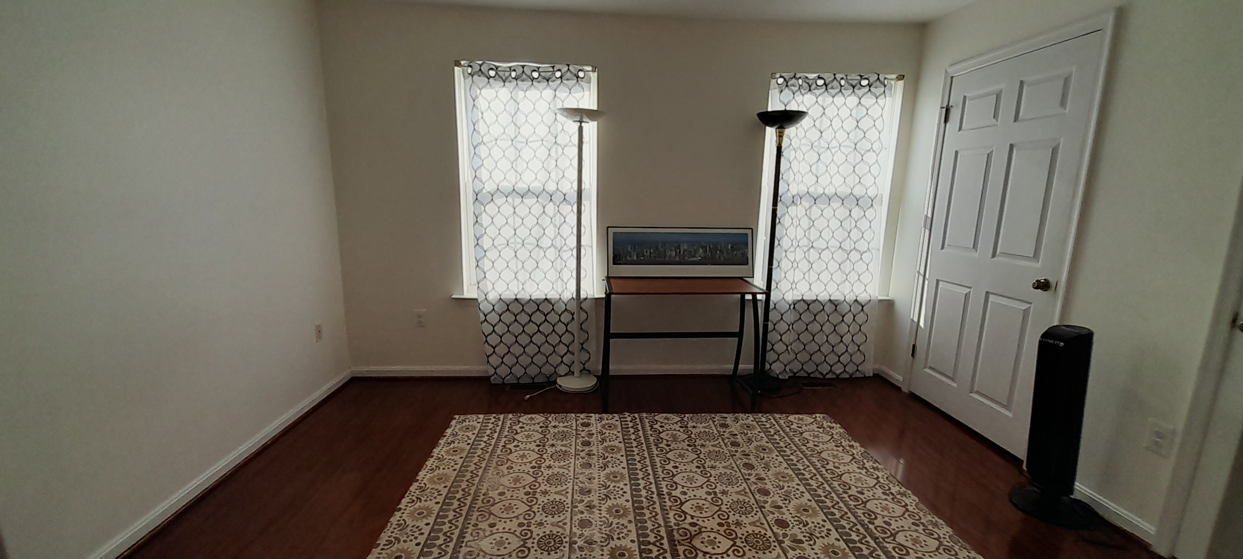 Picture 5