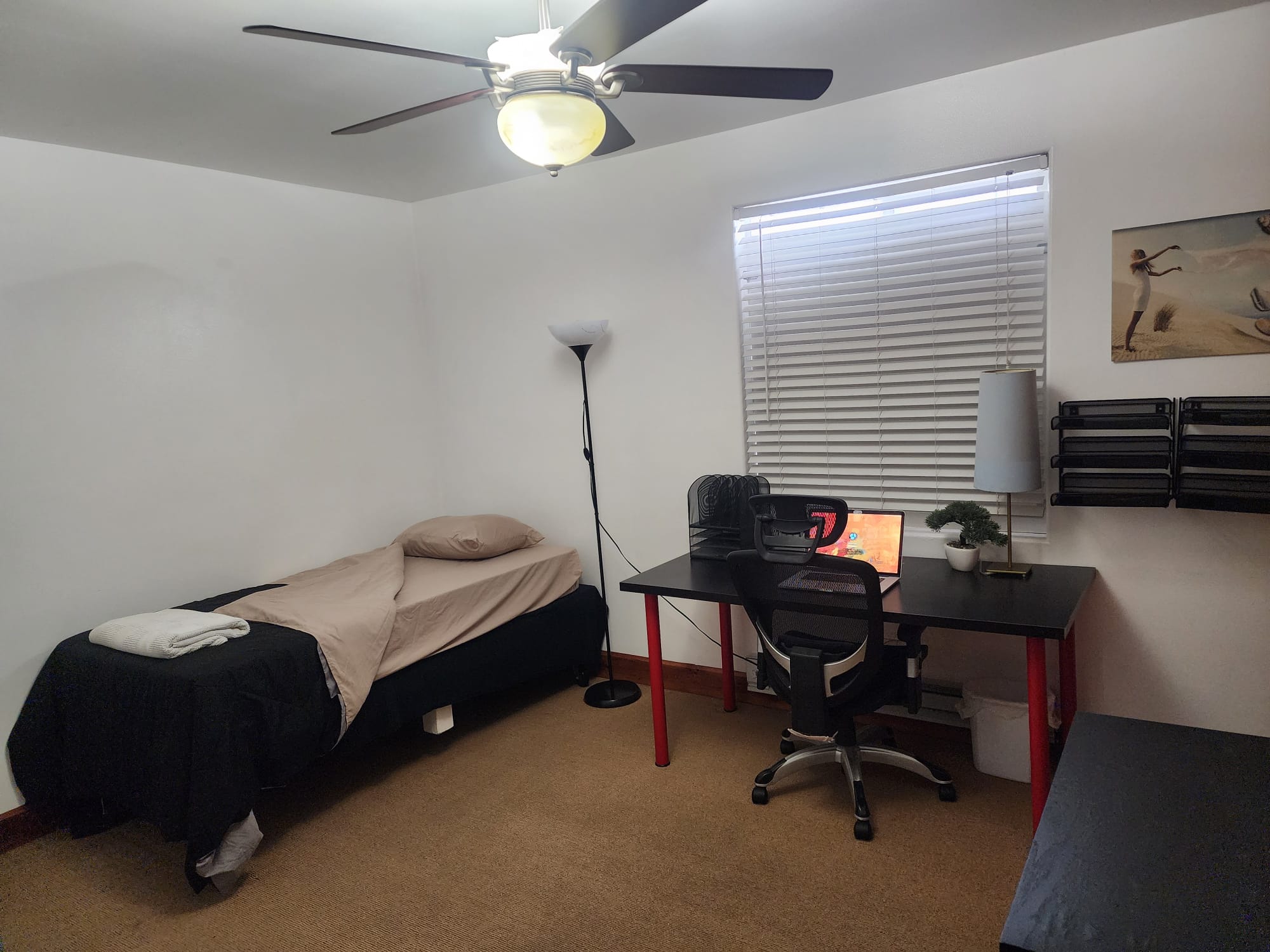 Picture 3