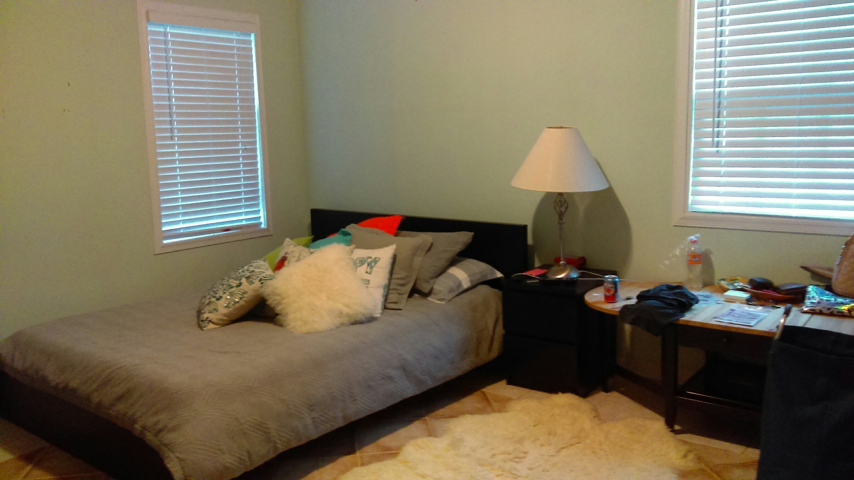 Picture 5