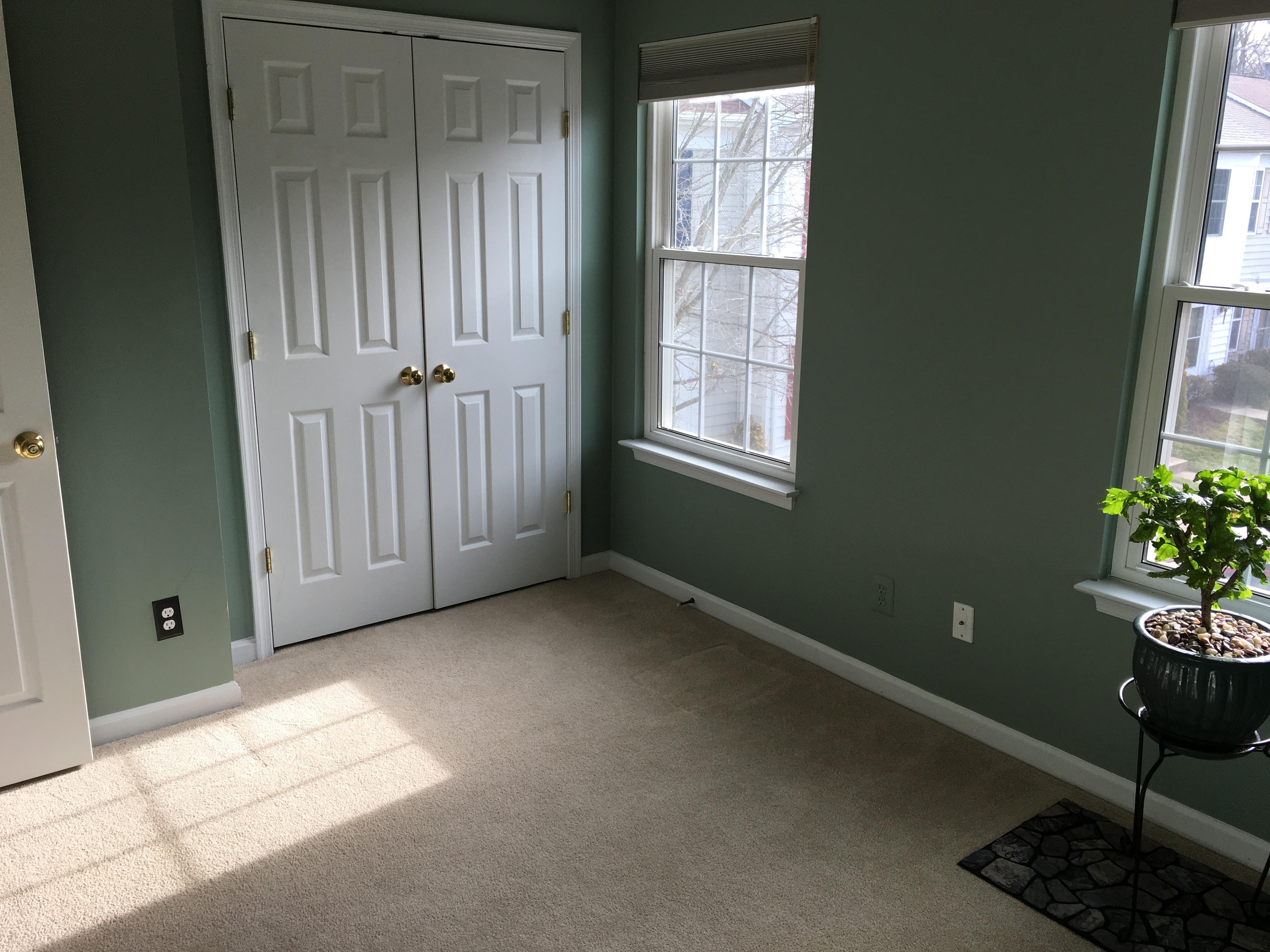Picture 2