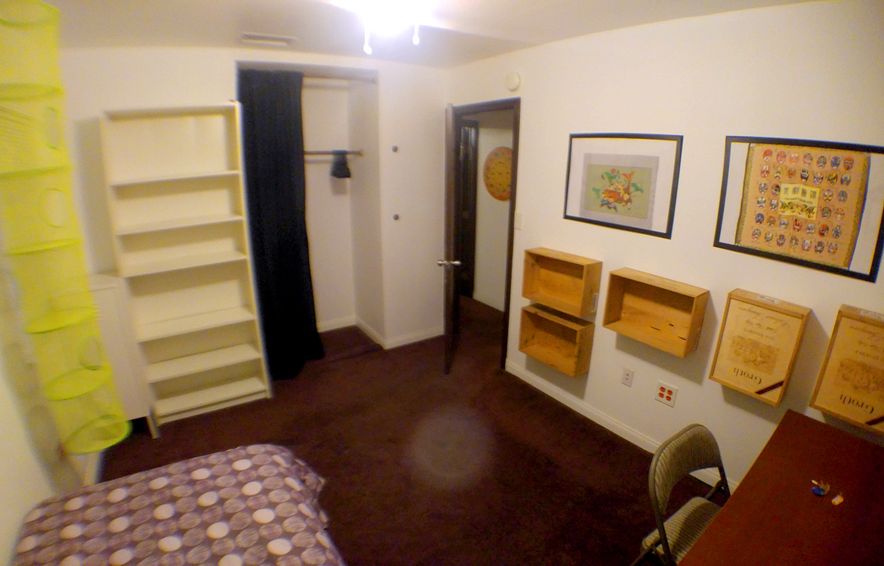 Picture 5