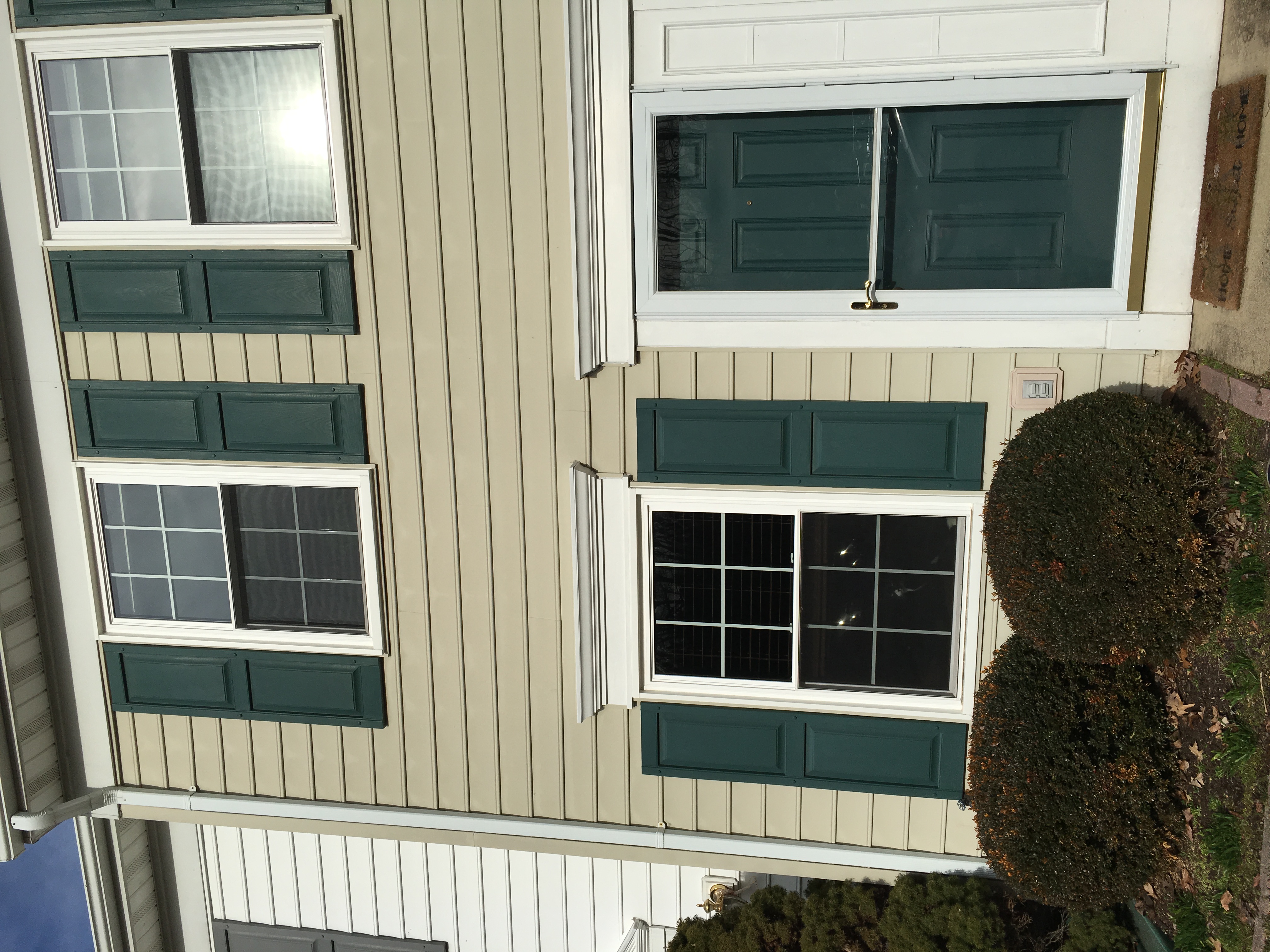 Picture 5