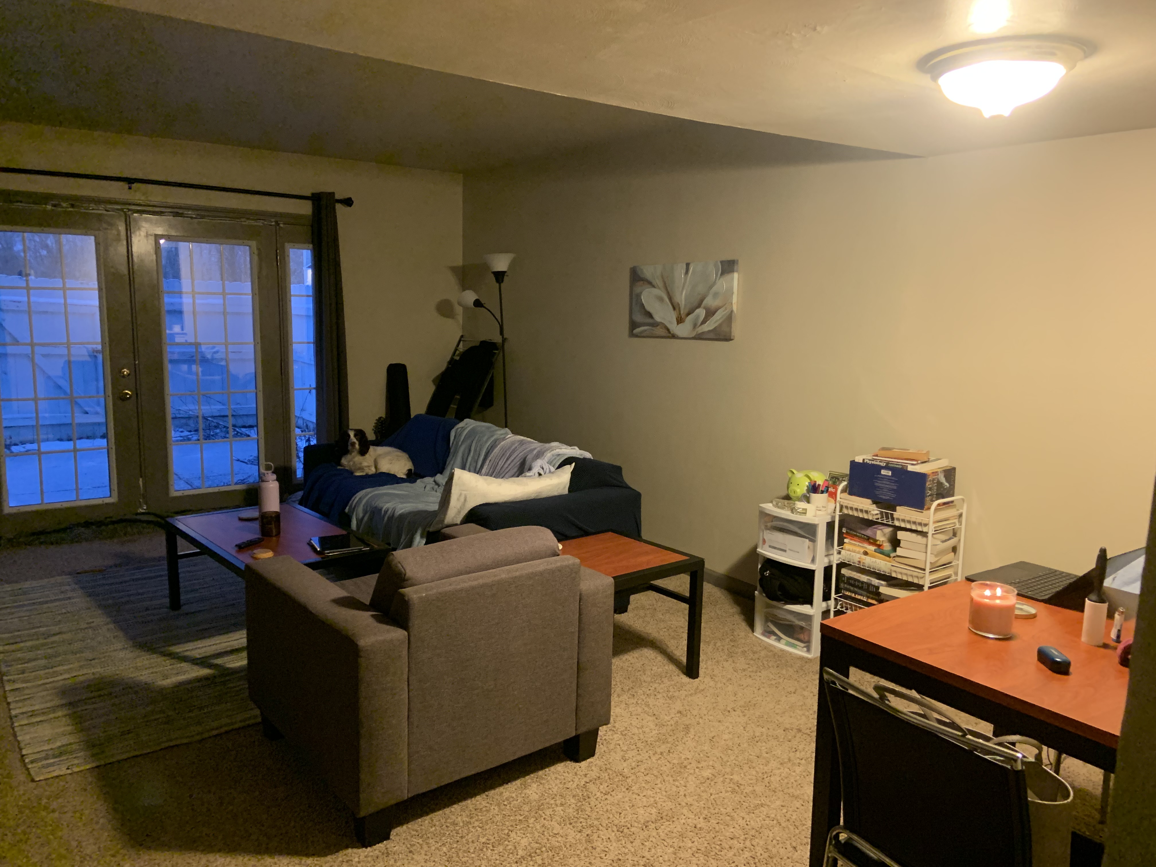 Picture 3