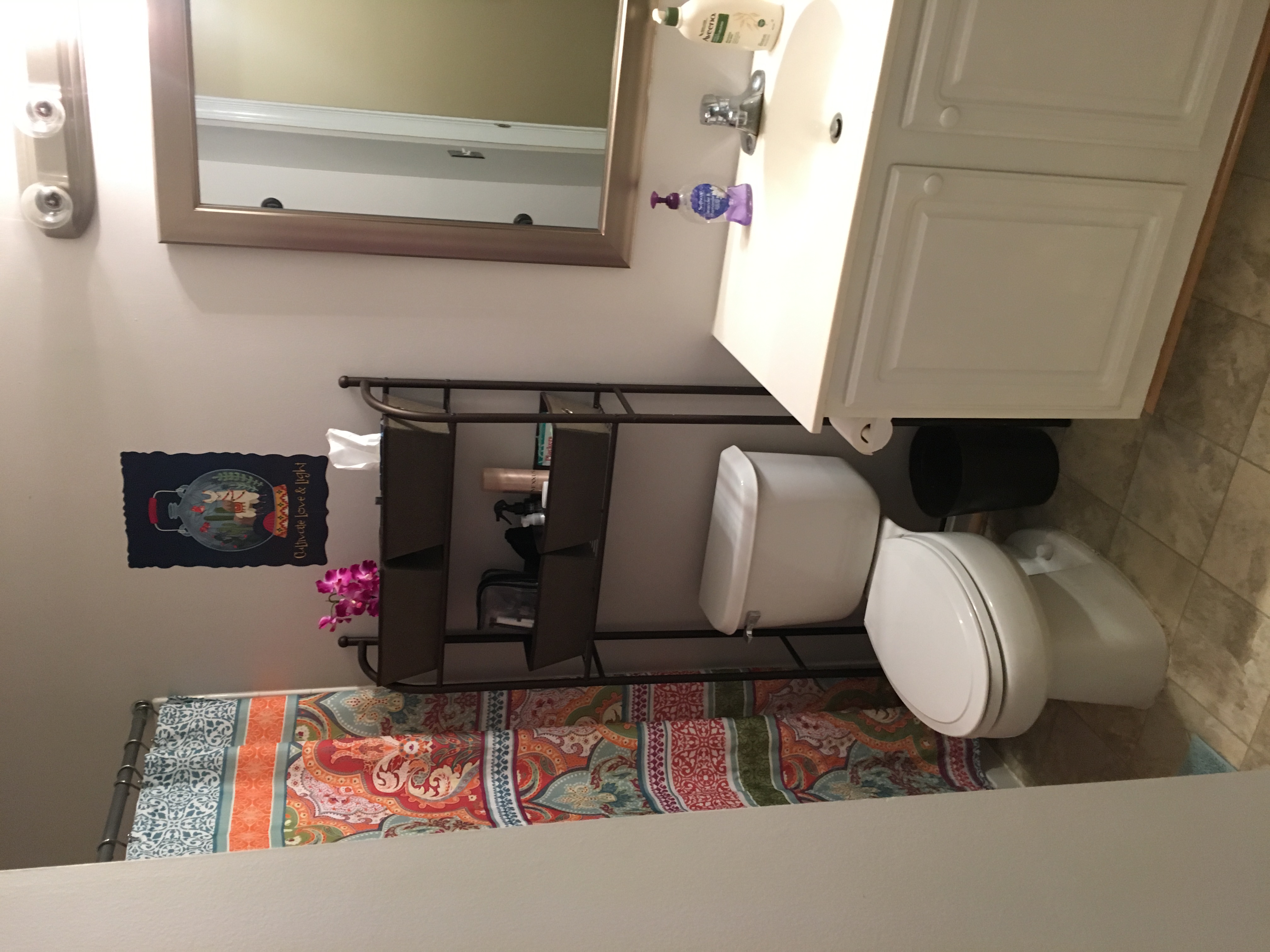 Picture 3